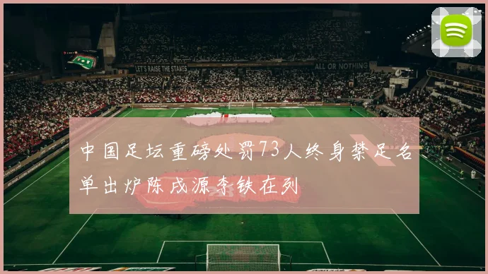 中国足坛重磅处罚73人终身禁足名单出炉陈戌源李铁在列