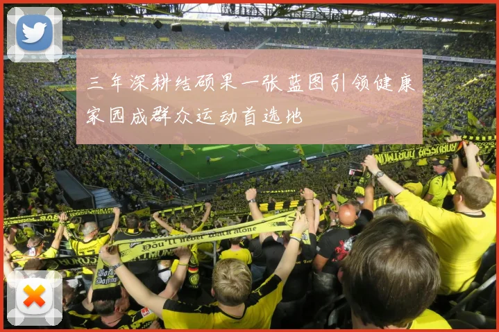 三年深耕结硕果一张蓝图引领健康家园成群众运动首选地